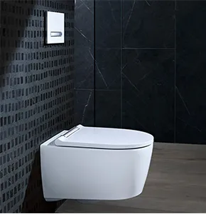 WC Suspendu GEBERIT, Acanto, Design Intemporel, WC Rimfree® Nettoyage Aisé, Economie d'eau